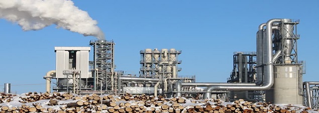 Cement Factories Sector
